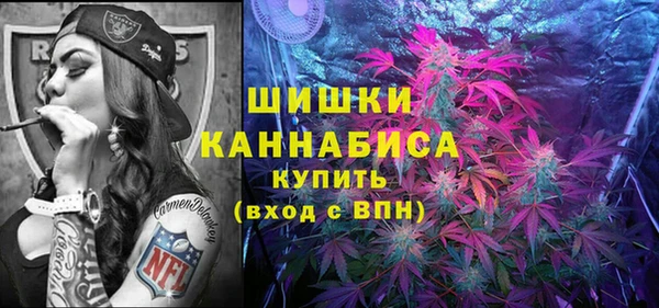 индика Вязьма