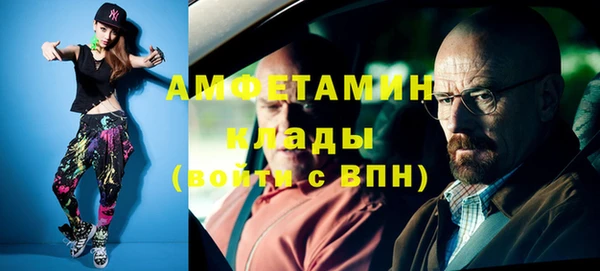 индика Вязьма