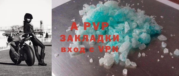 индика Вязьма