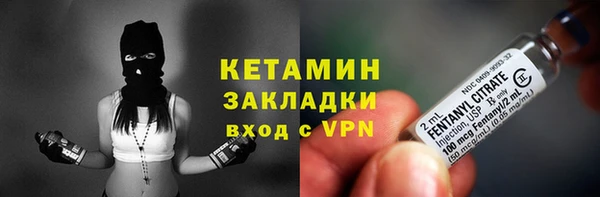 индика Вязьма