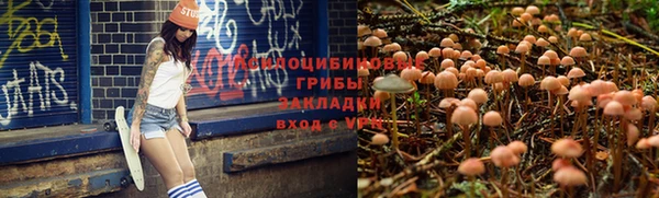 трава Вяземский