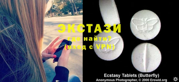 индика Вязьма