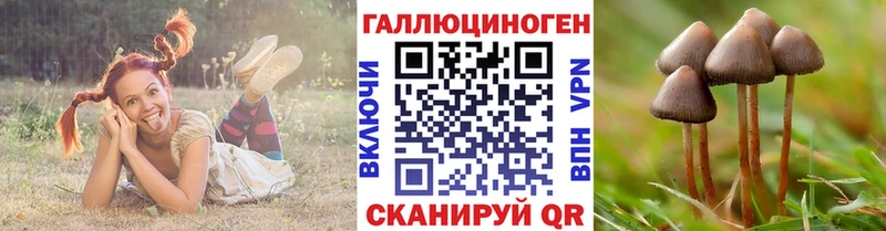 Псилоцибиновые грибы Psilocybine cubensis  mega вход  Жирновск  купить наркотики цена 